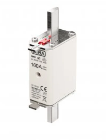 Fuse 100A SIBA 2000213.100